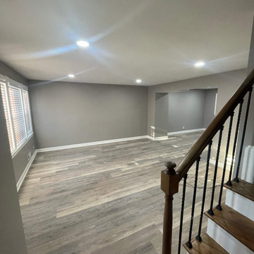 Title: Modern Full Home Renovation