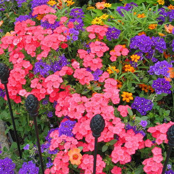 Miscellaneous Gardens and Pretty Things