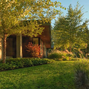 A Modernist Oasis