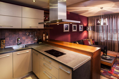 Inspiration for a modern kitchen remodel in Other