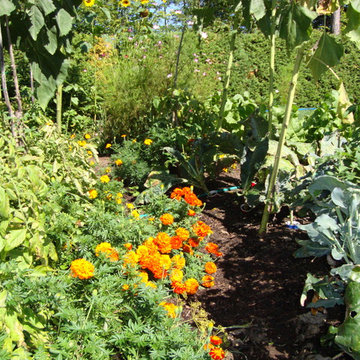 Lycopene Labyrinth