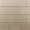 Elements Coral 4"x6" Glass Subway Tiles, Two 4"x6" Samples