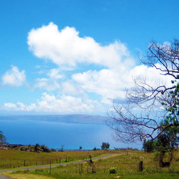 Island Escape