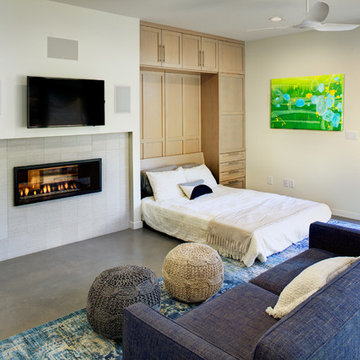Family Room with Murphy Bed Extended