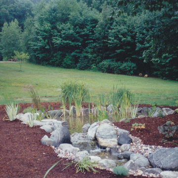 Completed Wetland Bog Filter and Stream