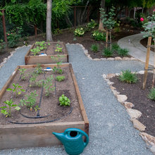 Vegetable Gardens