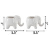 Set Of 2 Ceramic Elephant-Empty