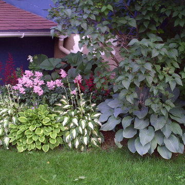Plantation