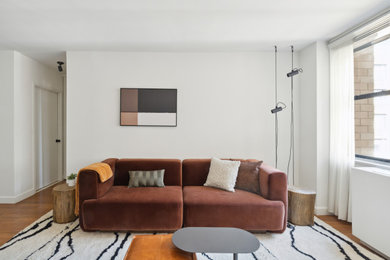Diseño de salón tipo loft actual pequeño con paredes blancas, suelo de madera clara y televisor independiente