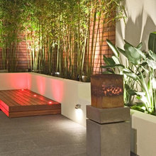 Front Garden - Bamboo
