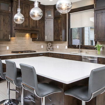 Classy Contemporary Kitchen