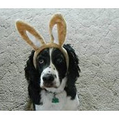 Trudy Groff's photo