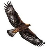 Barbara B. Powers's photo