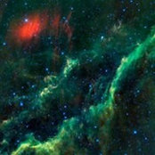 Dale Stark's photo