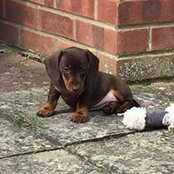 Jenna Mortimer's photo