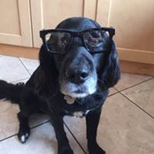 Anne Williams's photo