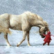 Julie Spence's photo