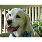Jill Towery's photo