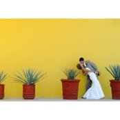 Haley Cairns's photo