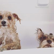 Jinju Choi's photo