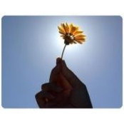Romona Michel's photo