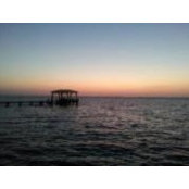 Howard Salter's photo
