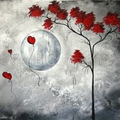 Asya Virginia Boykin's photo