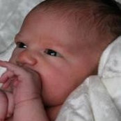 Connie Stricker's photo