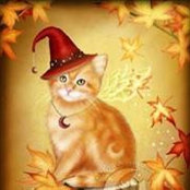 Shyla Stout's photo