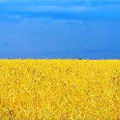 Slava Ivanov's photo