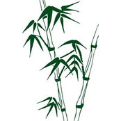 Renato Salvador Gbis's photo
