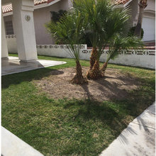 front yard