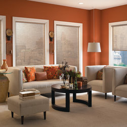 Solar Screen Shade | Eclectic Living Room| Brown & Orange | Modern Furniture & T - Roller Shades
