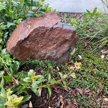 California Native Plants- Front and Back Yard Design