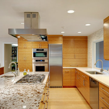 Renton Remodel