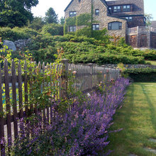 Landscape Ideas