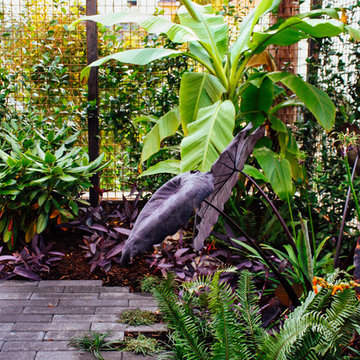 Tropical Duplex Courtyard