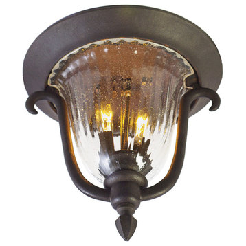 Santa Barbara Outdoor 2 Light Flush Mount