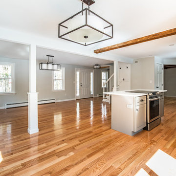 Full Home Renovation & Design