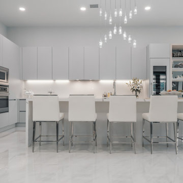 Sleek Elegance - Full Matte Lacquer Kitchen Project