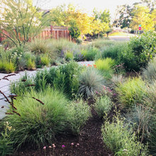 Gardens and Patios