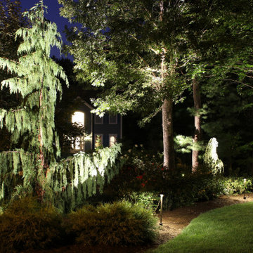 Let the LANDSCAPE Shine on this Home