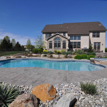 Freeform style in-ground salt water pool with raised spa