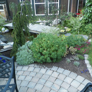 Discovery ridge Oasis
