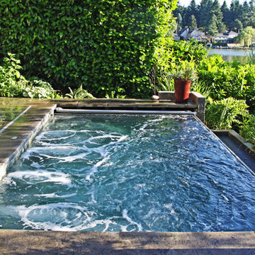 Swim spa on the lake