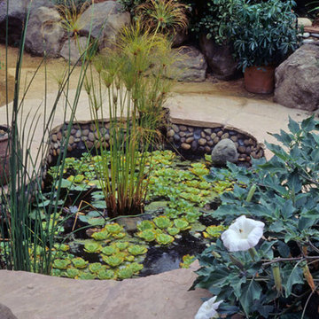 Sunset garden design competition- regional design award