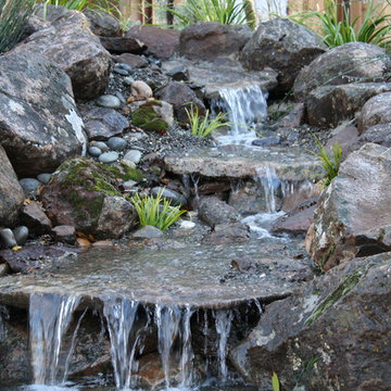 Sonoma Fieldstone (AKA Moss Rock)