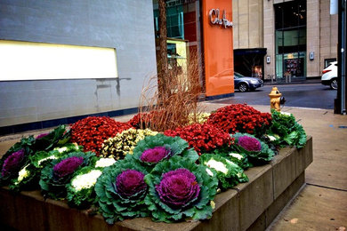 Autumn Urns & Containers