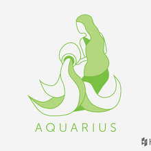 Designing With the Stars: Aquarius