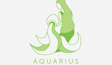 Designing With the Stars: Aquarius